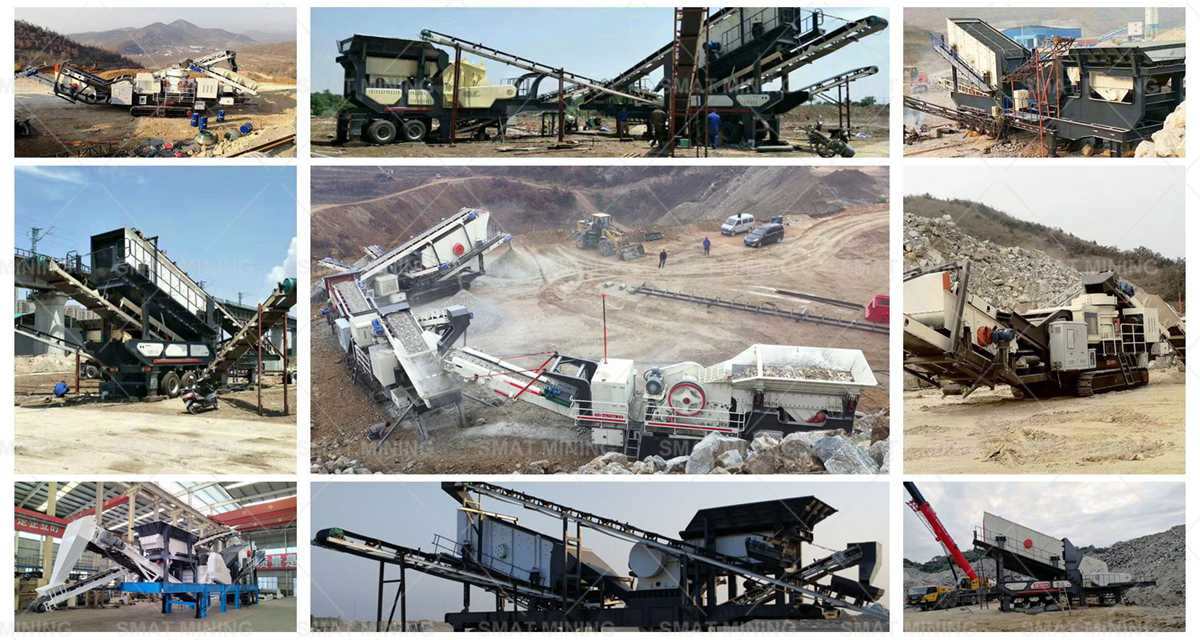 tree in one crushing plant